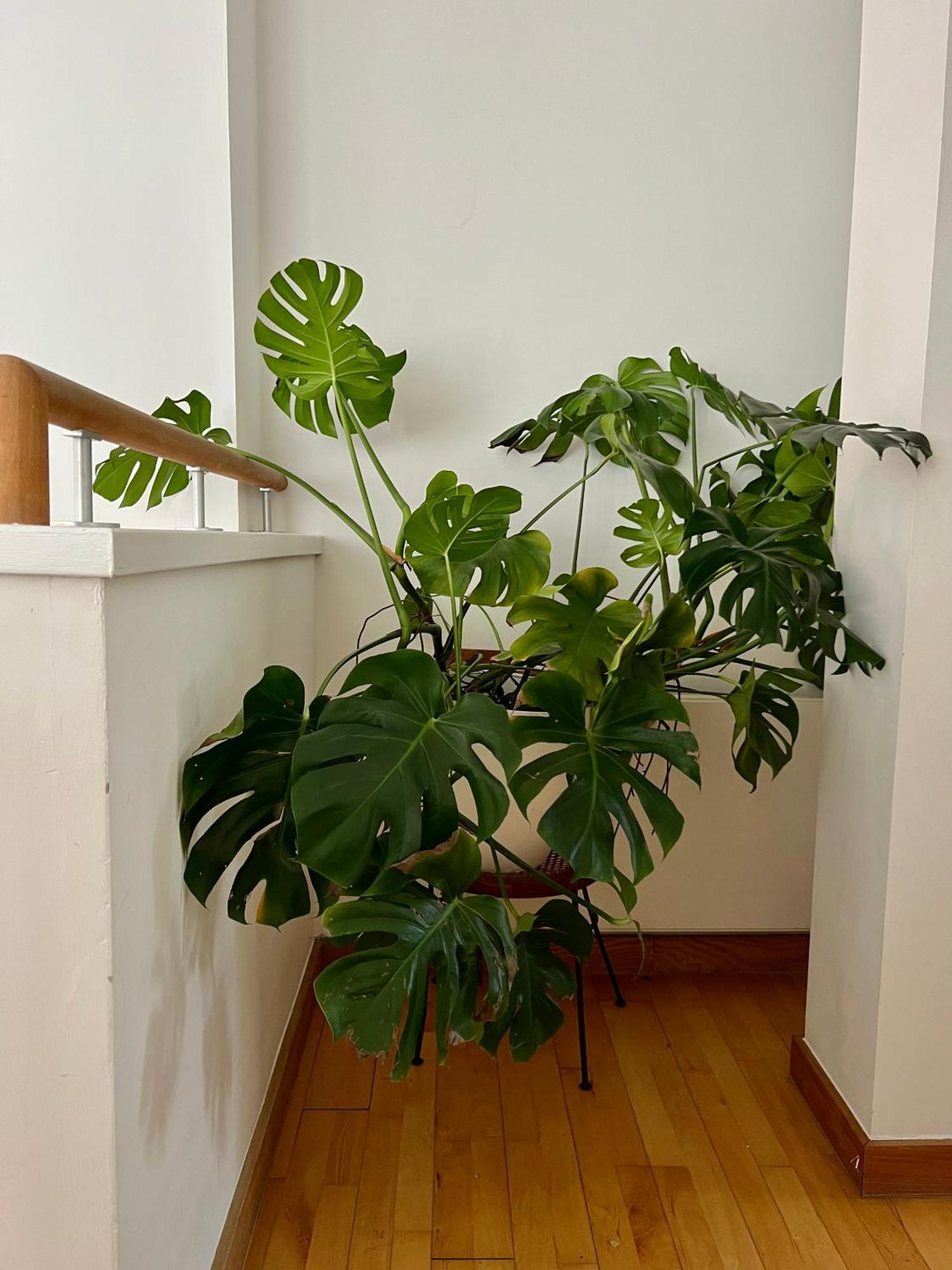 Huge Room For Recharge And Relaxation In Loft With Sauna In Central ロンドン エクステリア 写真